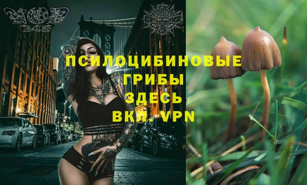 мескалин Нягань