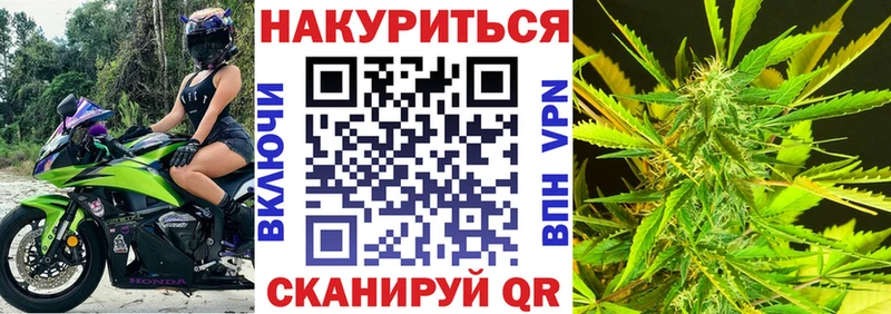купить   Богородицк  omg ТОР  Шишки марихуана индика 